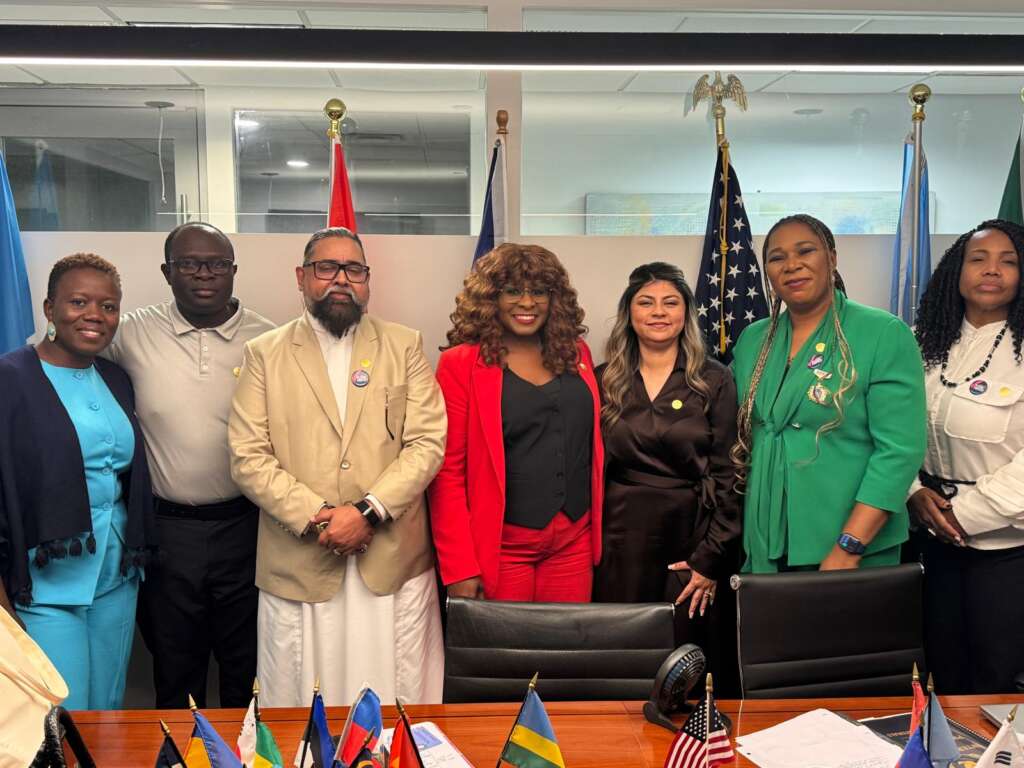 The Institute of Public Policy and Diplomacy Research conducting the Peacebuilding training at the IPPDR headquarters in New York city